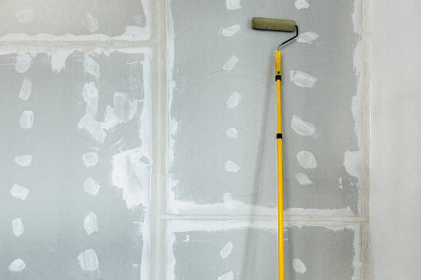 Best Post-Construction Mold Inspection  in Lawndale, CA