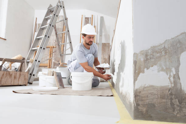 Best Basement Mold Removal  in Lawndale, CA