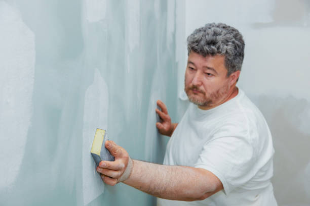 Mold Odor Removal Services in Lawndale, CA