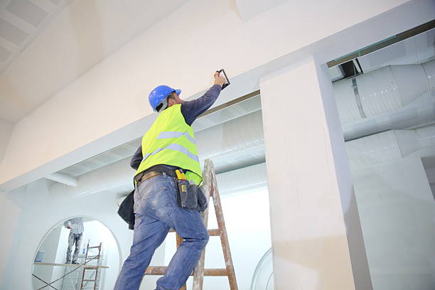 Lawndale, CA Mold Removal Company